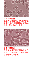 �h���h�����t�ƃT���T�����t