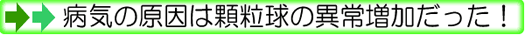 �a�C�̌������������̈ȏ㑝���������I