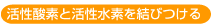 �����_�f�Ɗ������f�����т���
