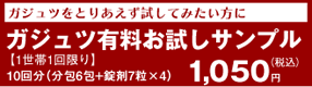 �K�W���c�L���������T���v���@1����1�����i10�񕪁j1,050�~