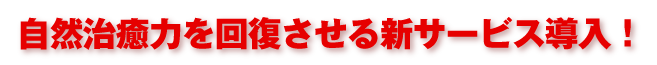 ���R�����͂��񕜂�����V�T�[�r�X�����I