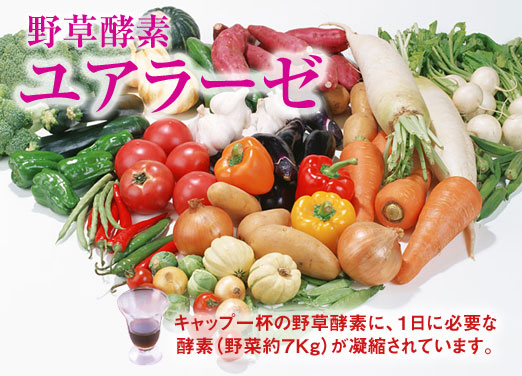 �L���b�v1�t�̖쑐�y�f��1���ɕK�v�ȍy�f�i��ؖ�7kg�j���Ïk����Ă��܂��B