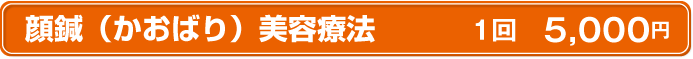 顔鍼美顔療法｜1回5,000円