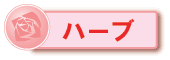 �n�[�u