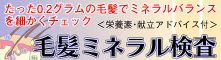 �є��~�l���������E�I�[�_�[���C�h�T�v�������g