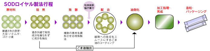 �r�n�c���C����